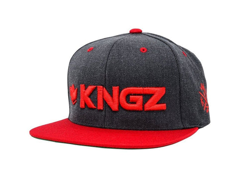 Logo Kingz Snapback-Red